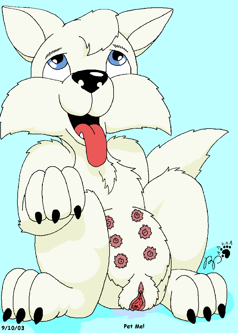 Kthanid - Lucky the Grey Husky Pup - Picture 16
